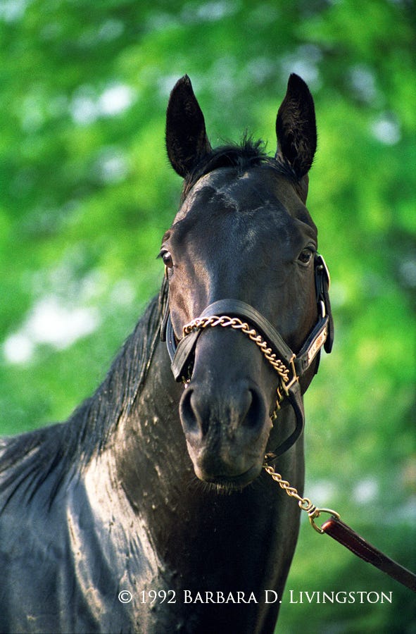 Giving the Devil His Due Daily Racing Form